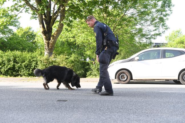 Nordjyllands Politi er fredag aften 26. maj i færd med at undersøge mystiske blodspor i Aalborgs Vestby - helt præcist i Olfert Fischers Gade