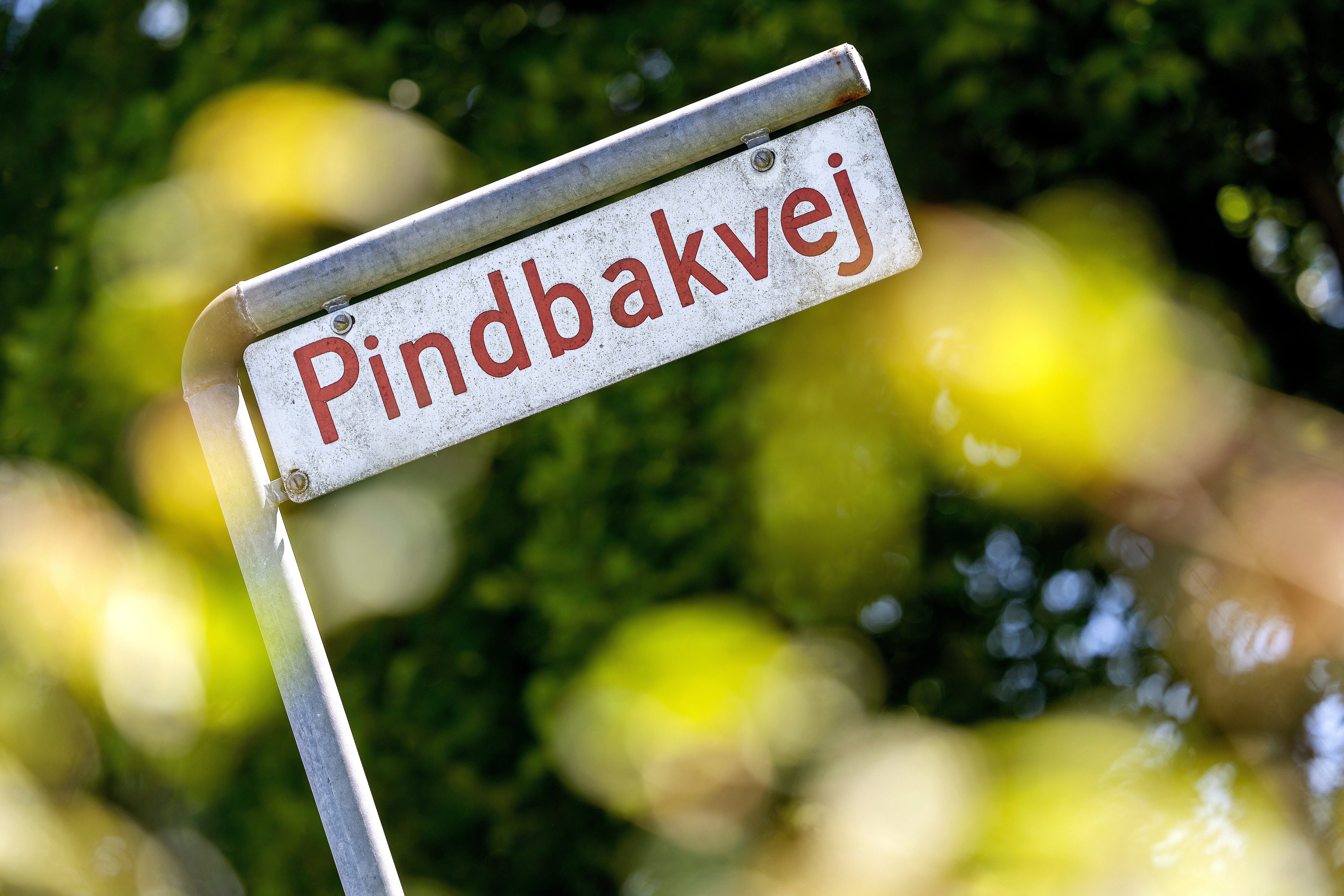 Tilfældig fejl ved GPS-system sikrede politiet superspor i sagen om Mia-drabet