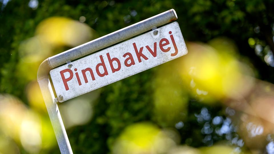 GPS-oplysningerne førte bl.a. politiet til Pindbakvej ved Dronninglund Storskov, hvor ligdele af Mia Skadhauge Stevn blev fundet. <i>Foto: Lars Pauli</i>