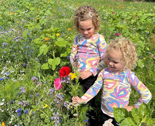 Blomsterstriben i Klokkerholm har været et tilløbsstykke henover sommeren