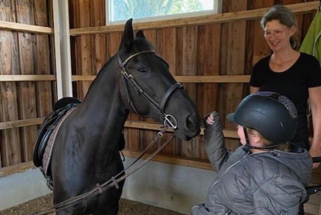 Allerup Ridefysioterapi har modtaget en stor donation, der kan forbedre forholdene for hestene.