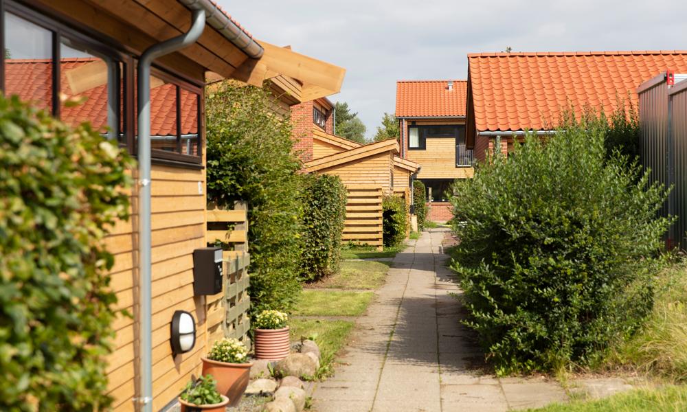Der er kommet nye tage på boligerne samt afdelingens skure. Der er kommet nye tage på boligerne samt afdelingens skure.