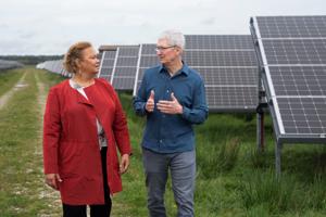 Superstjerne på besøg: Derfor går Apples øverste chef rundt på en mark i Nordjylland