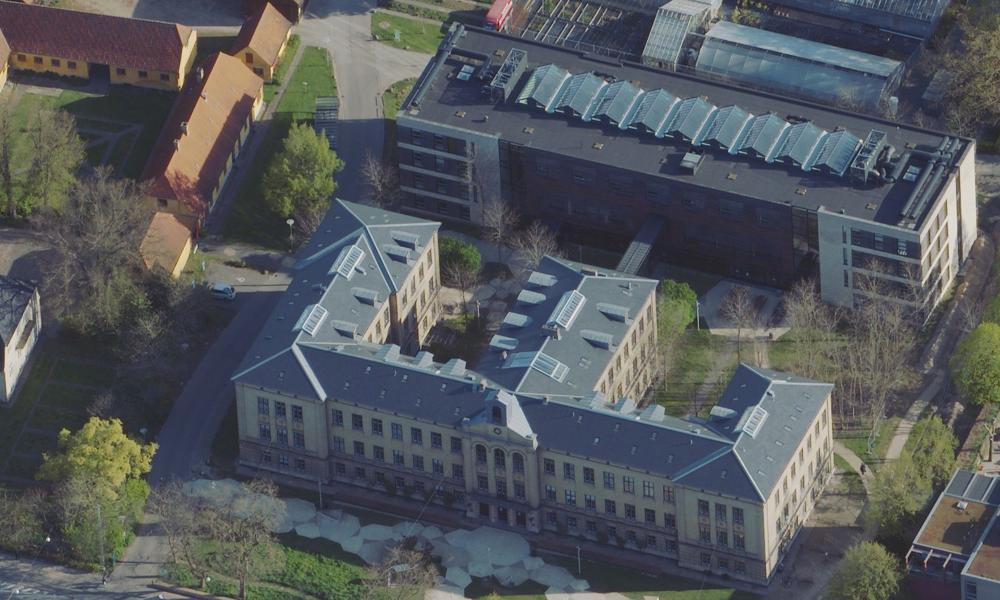 Her Institut for Geovidenskab og Naturforvaltning på Købehavns Universitet. Ved siden af universitets bygning ses et par af de træer, som nu er med i den nye opgørelse af Danmarks trædække. 