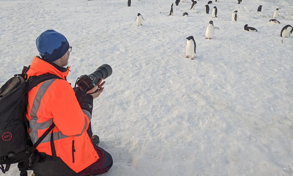 Nyfiken allmänhet på Antarktis.