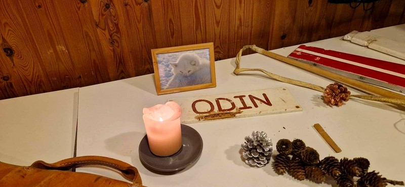 Odin var hundeflokkens leder - og Franks yndlingshund. Desværre er Odin død i dag. 