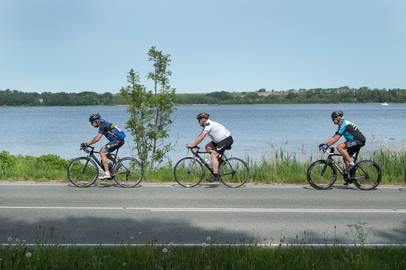 En tur ad Fjordruten bringer cyklister tæt på Mariager Fjord.