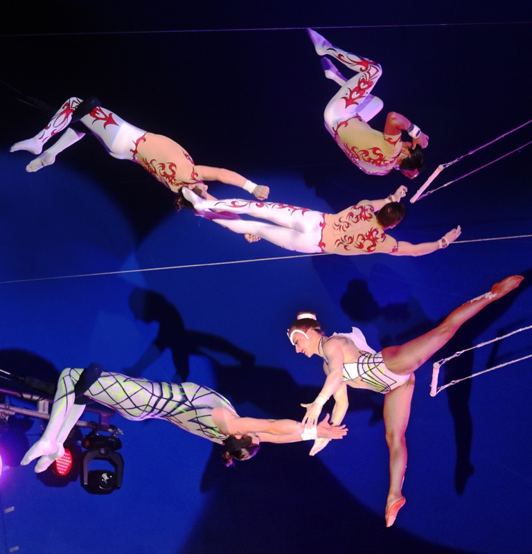 Flying Wulber flyver i luften i hæsblæsende tempo fra trapez til trapez. Foto: Cirkus Arena
