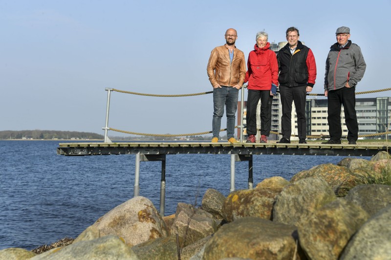 Rasmus Holmgård, Anne-Lise Mortensen, Jan Ole Mortensen og Keld Poulsen er gået ind i kampen for at sikre, at der igen er en badebro på Solsiden. Foto: Michael Koch