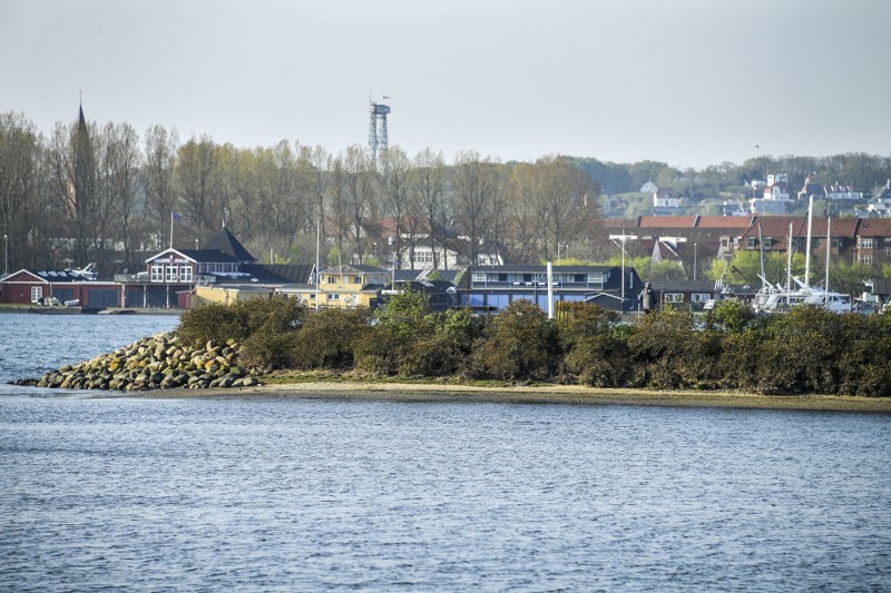 Fra Lindholm Strandpark er der udsigt til Aalborg, som har seks badebroer, ifølge Lindholm Strandparks Udvikling. Foto: Michael Koch