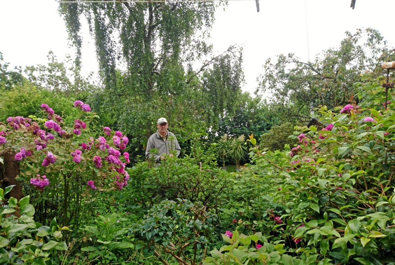 Billedet her er ikke fra en af de to åbne haver, men til gengæld fra Ole Pedersens flotte have i Hvidbjerg. Arkivfoto: Dorit Glintborg.