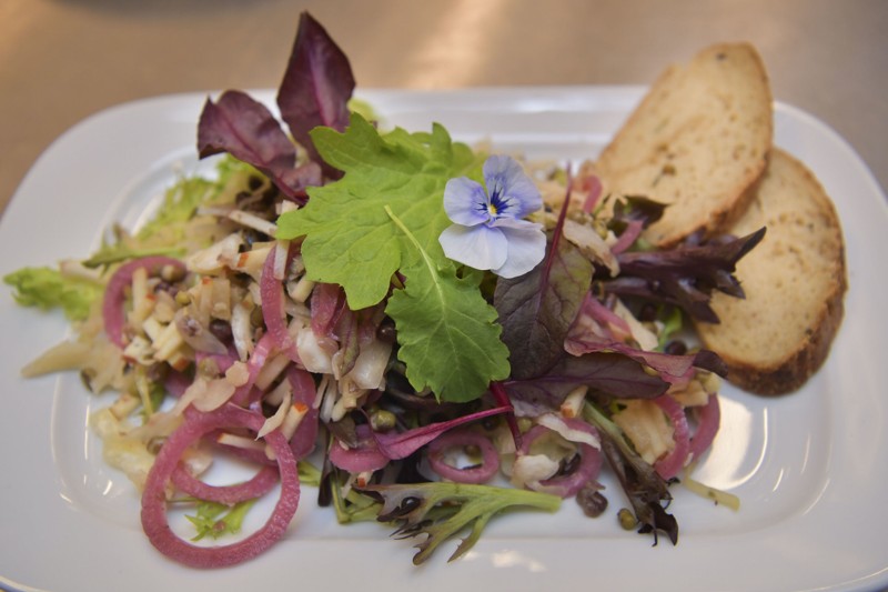 Vil man undgå animalske produkter, kan man bestille ugens salat/veganerret på Teatercaféen. Foto: Claus Søndberg