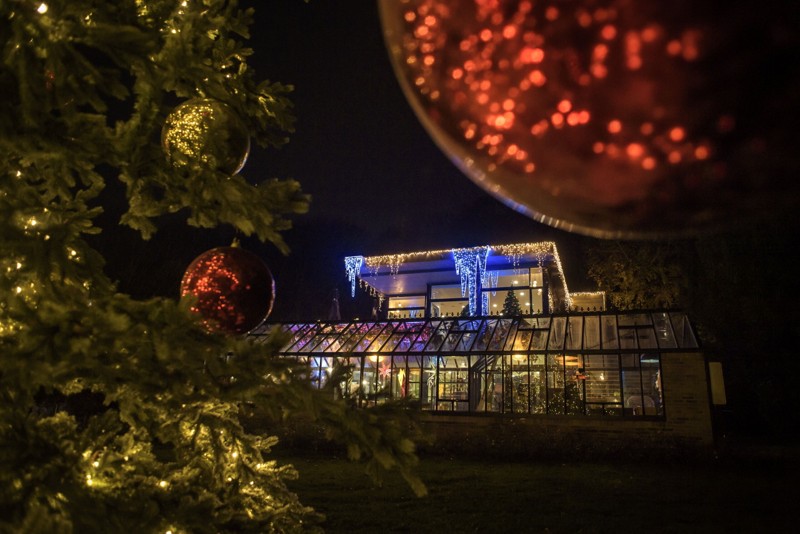Jul i Zoo slår porten op til sin anden sæson i eftermiddag klokken 16. Foto: Martin Damgård