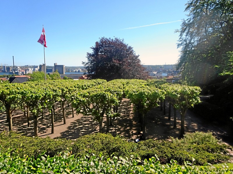 Aalborg Kommune vil med fredningen sikre sig, at byens grønne åndehuller bevares for eftertiden. Her er det Skanseparken. Foto: Aalborg Kommune
