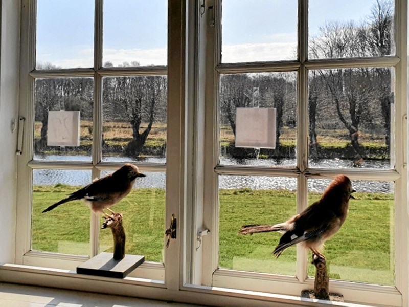 To udstoppede fugle med ledetråd til bogstavjagtens løsning i slotsvinduerne. Privatfoto