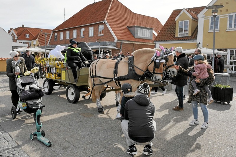 Hestene Max og Profil var spændt for vognen som Mona og Peter Andersen var kommet fra Sterup med. Foto: Peter Jørgensen