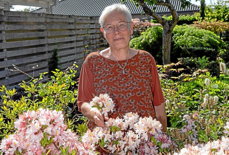 Irma Poulsen har i flere år været ansat i Enemærkets hostahave ved Ringkøbing
