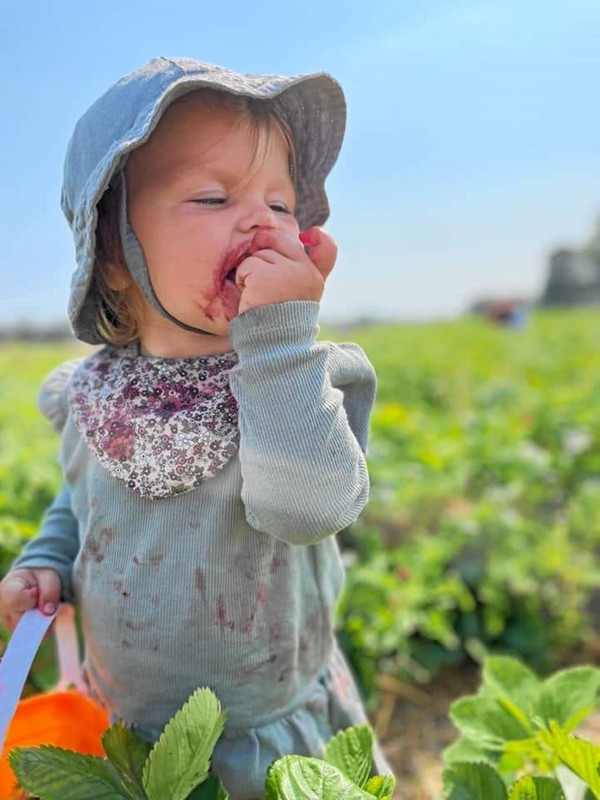 Vinderen af Jensen Jordbærs sommer fotokonkurrence blev Trine Degn Poulsen, der havde fanget sin niece, Eva, i et øjeblik med ren jordbærnydelse. Gevinsten er tyve bakker jordbær. Foto: Privatfoto