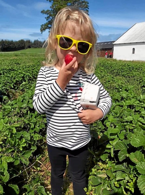 Andenpladsen gik til Alice Nielsine Olsen, som havde fanget sit barnebarn, Rosa, i rent jordbærhumør. Her var præmien femten bakker jordbær. Foto: Privatfoto