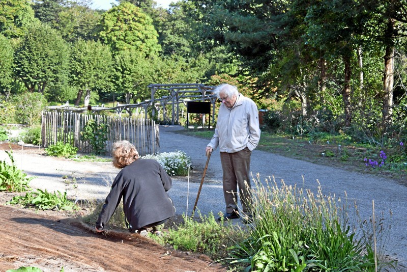 Ellen Ræbild og Poul Erik Brander studerer vilde planter