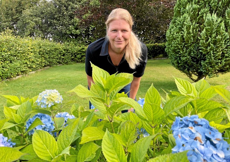 Iben Rasmussen ved en smuk, blå hortensia. Foto: Helge Søgaard