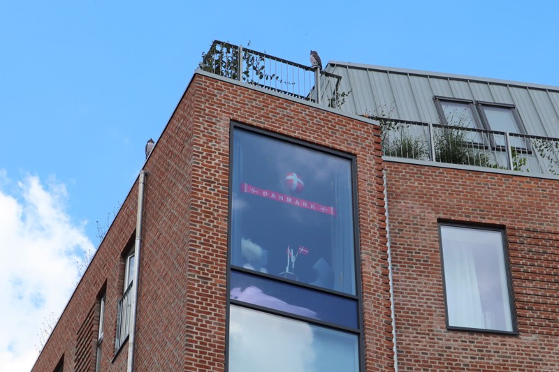 Et vindue i Sankelmarksgade med alt godt fra fan-hylden. Foto: Katrine Brix