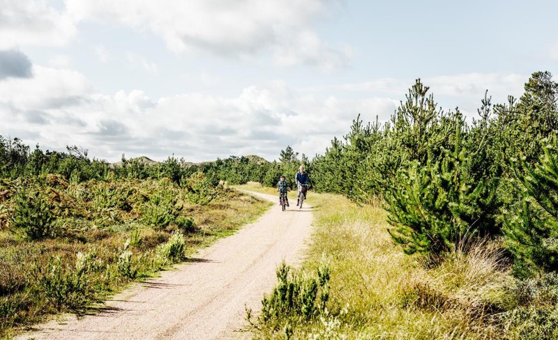 Etape fire ligger i Nationalpark Thy og strækker sig fra Hanstholm til Agger Tange - en tur på 72 km. Foto: Danmarks Nationalparker