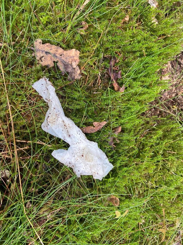 Der er brugt vådservietter - og der går mange år, før de bliver nedbrudt i naturen, fortæller Karin Winther.