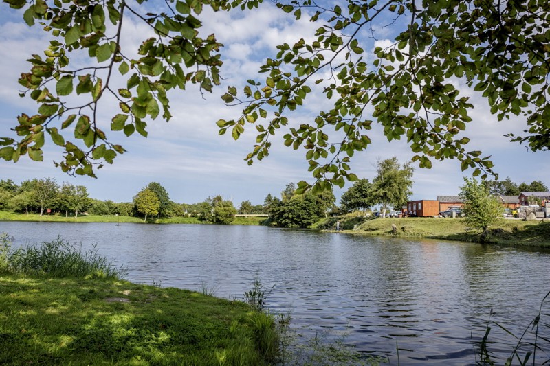 Søen er kendt som Teglværkssøen og er på 10.000 kvadratmeter. Foto: Martin Damgård