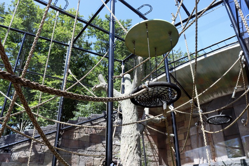 Det store klatretov inviterer til leg. Foto: Aalborg Zoo