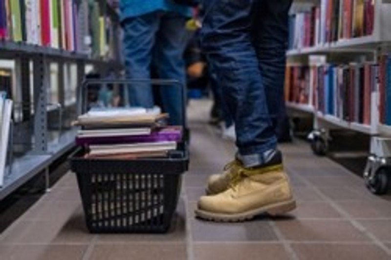 I kælderen under Hovedbiblioteket i Aalborg opdagede man insekter, der bl.a. æder bøger, dokumenter og malerier. Arkivfoto: Lasse Sand