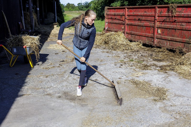 Tvillingerne står selv for al oppasning, fodring og udmugning under de 13 heste, de har i stalden i øjeblikket. Foto: Henrik Bo