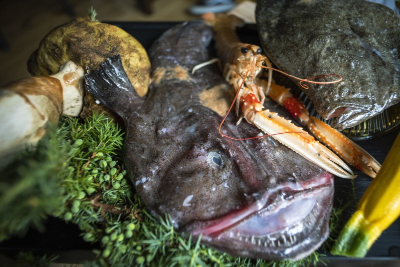 Fisk og skaldyr er det altoverskyggende fokus på Restaurant Emil. Foto: Martel Andersen
