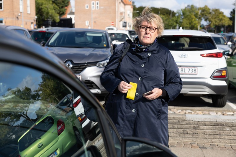 Ifølge Pia Hovaldt bør parkeringssystemet laves om, så det slet ikke er muligt at indtaste udenlandske bogstaver, som aldrig optræder på danske nummerplader.