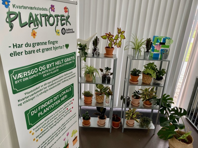 De kommende dage åbner flere plantoteker i Aalborg. Udover at bytte planter, handler det også om at skabe rum til sociale fællesskaber.