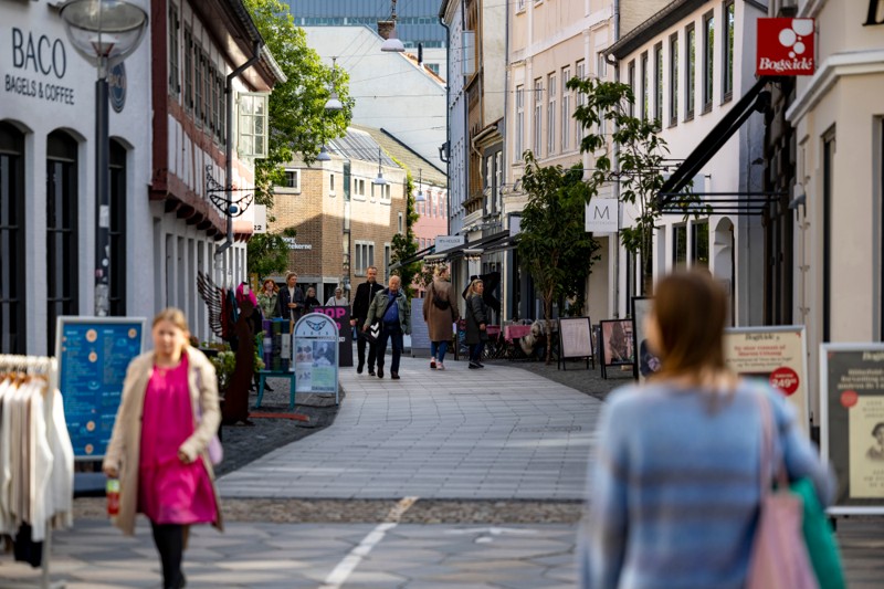 En hund gemmer sig i Aalborgs gader - nu kan du komme ud at lede efter den.