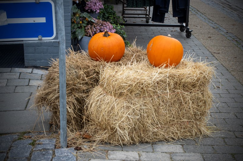Handelsstandsforeningen har pyntet Fjerritslevs handelsgader med halmballer og græskar for at gøre reklame for halloween by night den 21. oktober.