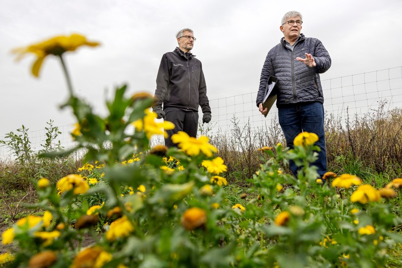 Et lokalplanforslag der tillader boligbyggeri ved Øster Hovensvej vækker bekymring hos Aabybro Vand. Her er næstformand Michael Aaby Christensen og formand John Trudslev på tur i området.