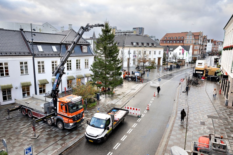 Arbejdet med at stille træet op gik planmæssigt her fredag formiddag, og de kommende mange uger kan du nyde synet.