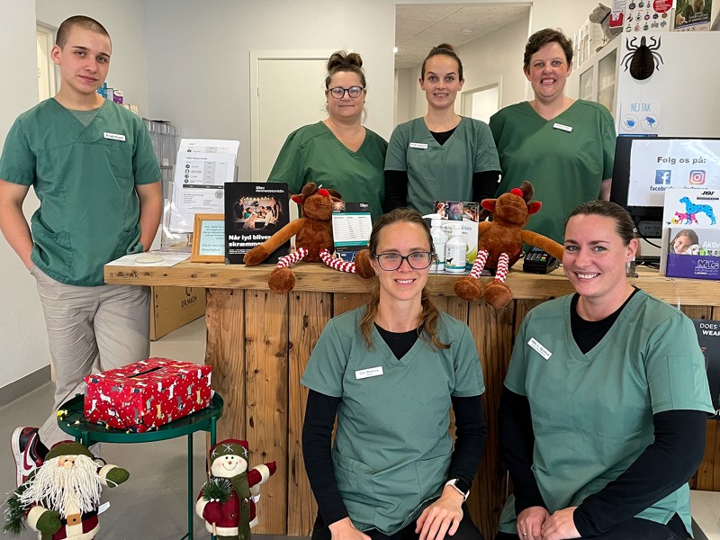 December måned er ofte travl på Skørping Dyreklinik – her ses teamet, der er klar til at tage imod, hvis uheldet skulle være ude. Bagerst fra venstre: Sigurd, Kristina, Søs og Jannie. Forrest fra venstre: Gry og Mille.