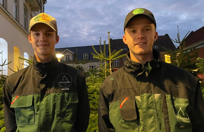 Jacob (tv) og Emil (th) Møller driver virksomheden DK-Juletræ, hvor de sælger og leverer juletræer med lyskæder. Igen i år har de stået for at opstille juletræer i gågaden i Hobro.