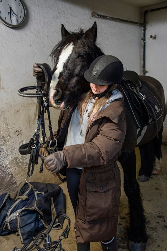 Den 11-årige hingst Jimmy James har fundet det helt rette hjem hos Sportsrideklubben Mariagerfjord i Hobro.