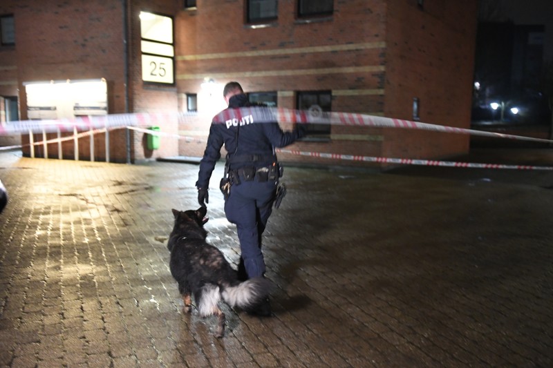 Politiet var til stede med hunde, efter en ung kvinde anmeldte en voldtægt på Østerbrogade i Nørresundby nytårsnat.