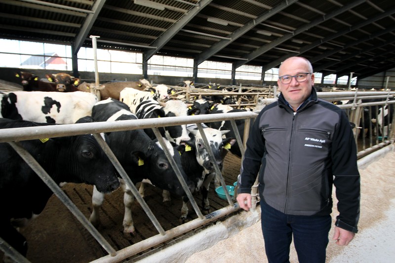 Gårdejer Anders Peter Jensen i en af sine stalde med kalve. I alt har han 1.000 slagtekalve.