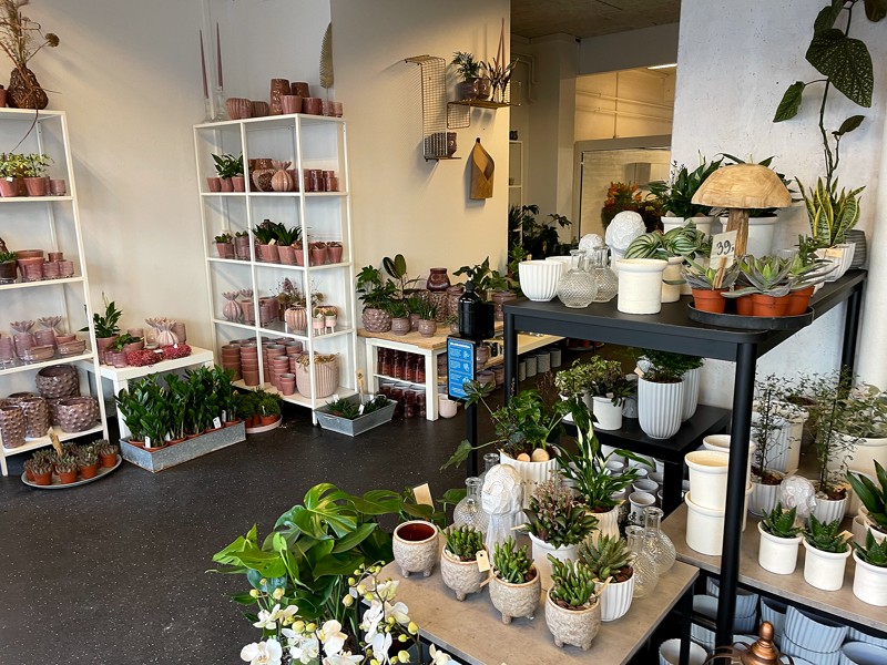 Masser af planter, krukker og vaser i butikken. 