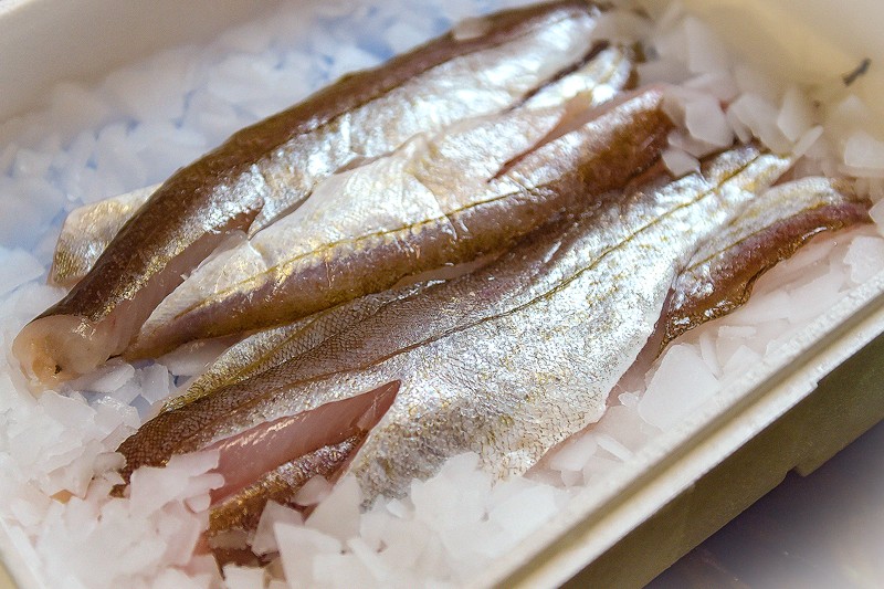 Flotte benfri filetter er denne uges fisk i familiepakkerne, som man kan abonnere på leveret én gang i ugen. 