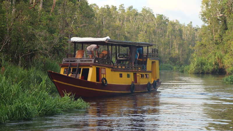 På rejsen til Borneo kan du komme med på flodsejlads.