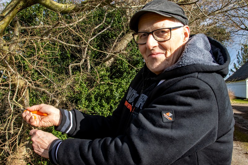 Nu er det tid til at beskære de sidste buske – og så kan man samtidig tage stiklinger, råder Arvid Bruun fra Klim.