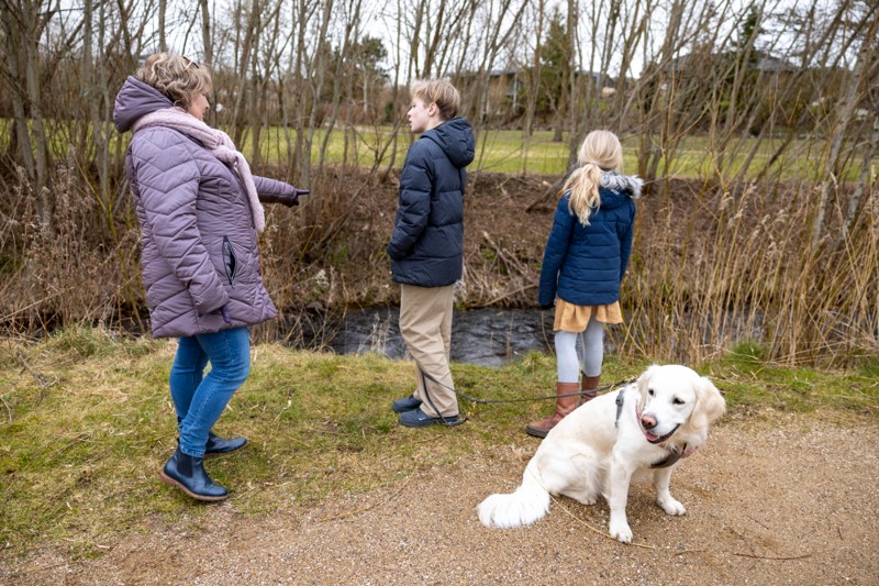 Det var, da hunden Maggie pludselig sprang mod vandet i den lille å, ulykken indtraf.