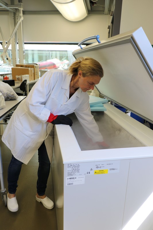 Sussie Pagh kigger i fryseren ved Institut for Kemi og Biovidenskab ved AAU.